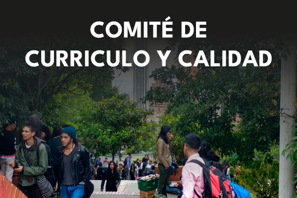 Imagen decorativa comité de currículo y calidad